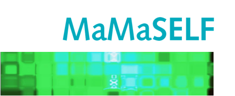 10th MaMaSELF Status Meeting 2018